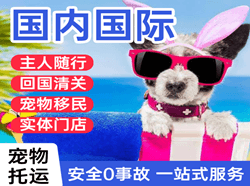 高崎机场邮寄国际宠物托运 【国